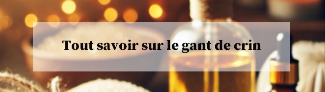 Tout savoir sur le gant de crin